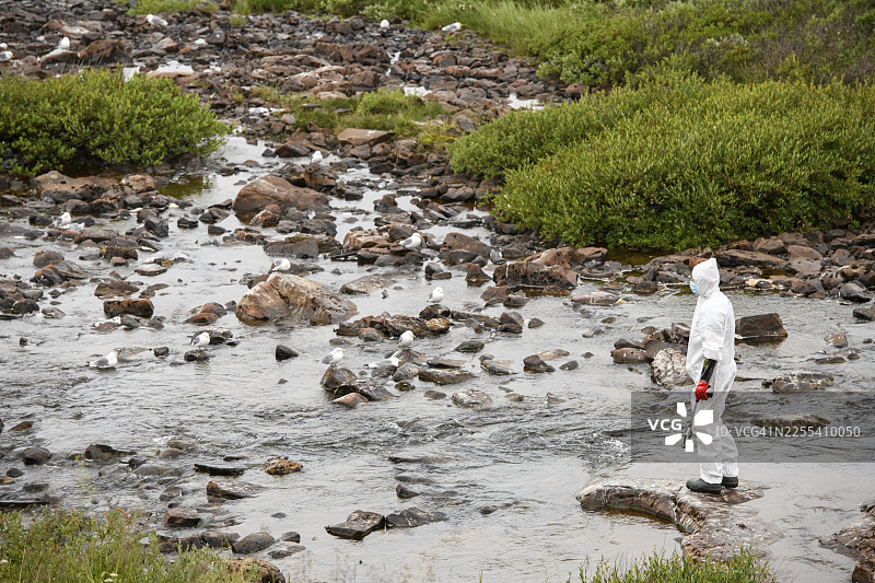 身穿防护服、防护面罩和护目镜的人正在寻找因禽流感死亡的 असतील(Rissa tridactyla)海鸥,气氛忧郁,地点位于挪威特罗姆斯-芬马克郡瓦德瑟的埃克尔岛。图片素材