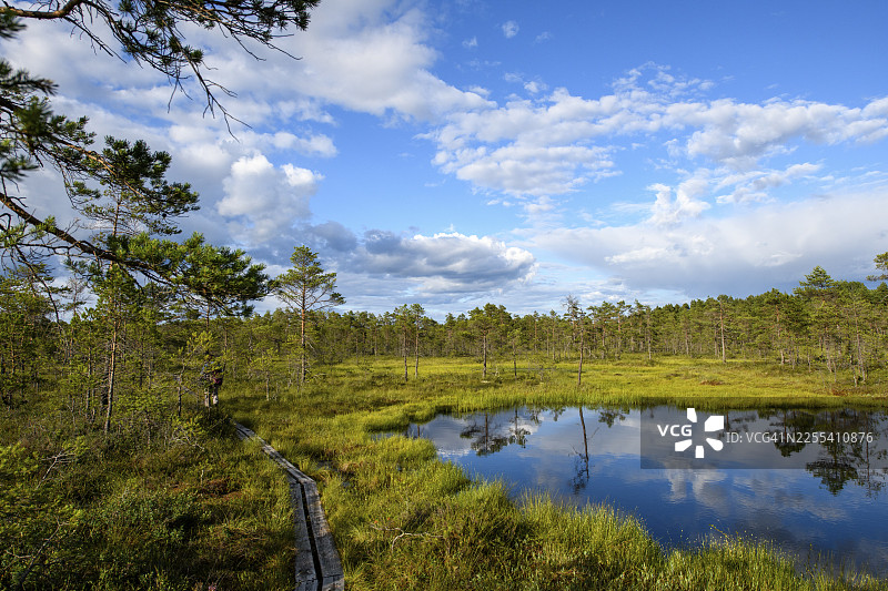 瑞典厄勒布鲁省哈马尔穆森沼泽地带的湖泊，天空晴朗，有云彩和木板栈道图片素材