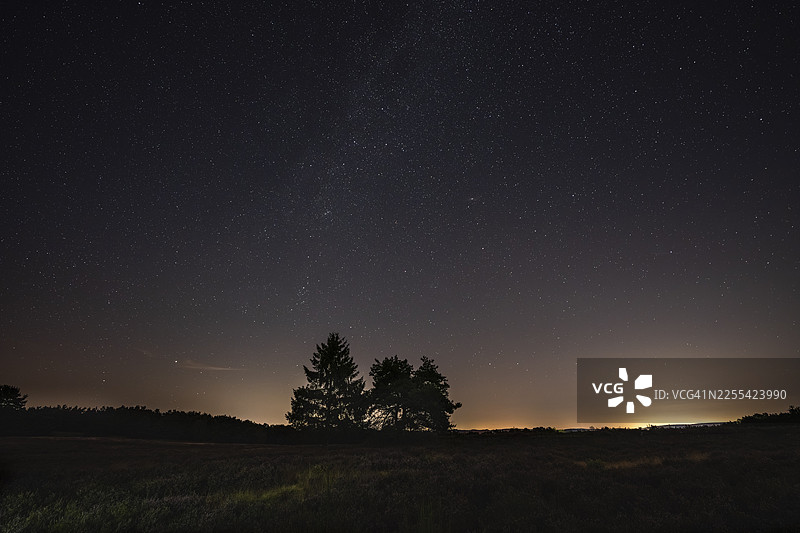 盛开的梅林格海德松树。夜景，星空和银河。德国莱茵兰-普法尔茨州梅林根的梅林格海德自然保护区。图片素材