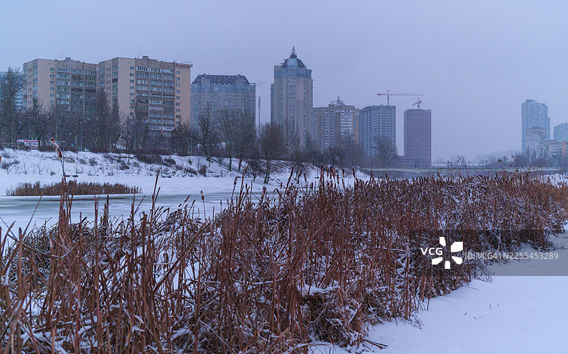 基辅冬季城市景观，有冰冻的河流和芦苇图片素材