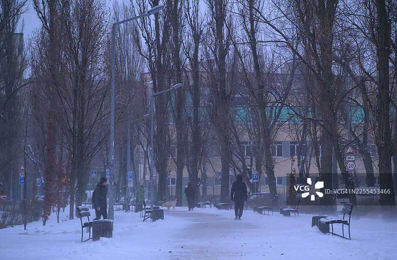 冬日里，人们走在雪后的城市公园小径上图片素材