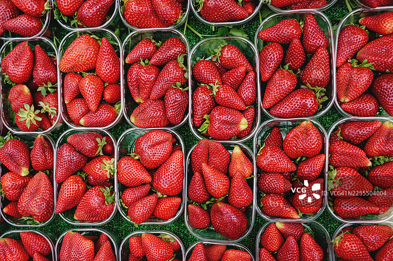 从上方视角拍摄的装有新鲜草莓的容器。威尼斯当地水果市场图片素材