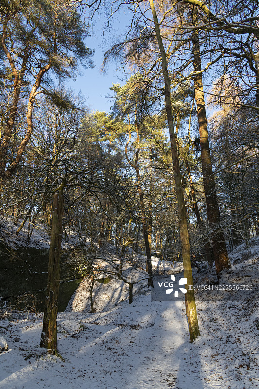 英格兰柴郡阿尔德利艾奇一个旧采石场的冬季雪景图片素材
