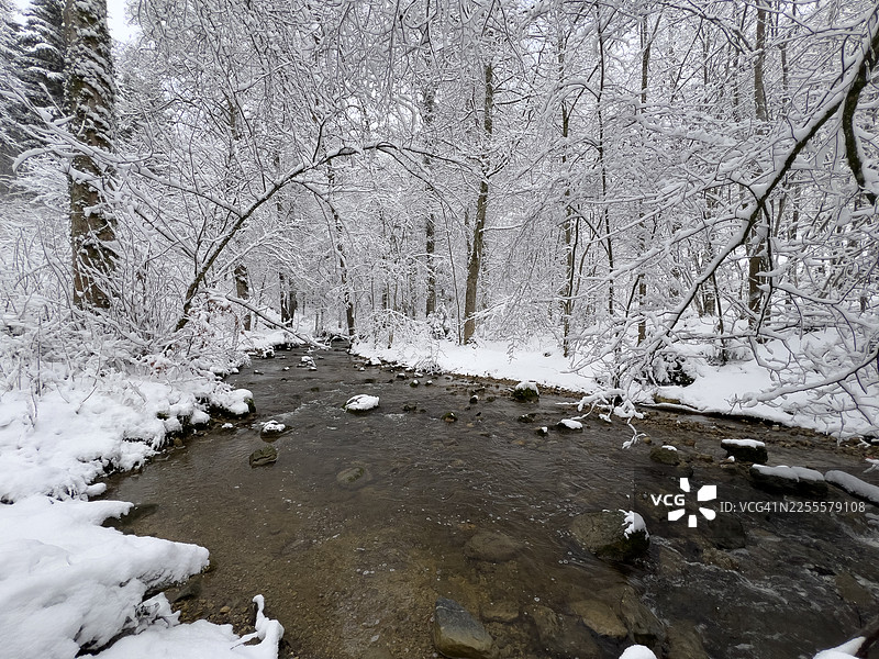 覆盖着雪的特万河溪流与树木图片素材
