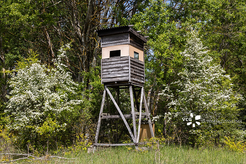 猎人在森林中的高架瞭望点图片素材