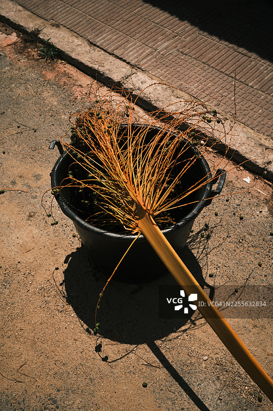 棕榈叶和椰枣放在地上的黑色桶里图片素材