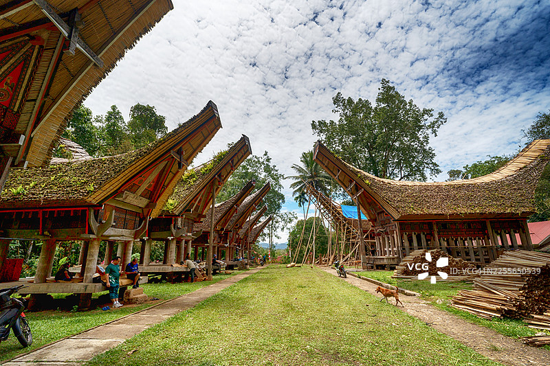 南苏拉威西省托拉雅地区本图普尼的栋格南式房屋和谷仓排图片素材