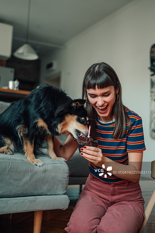 女士为狗狗庆祝生日，有纸杯蛋糕和蜡烛图片素材