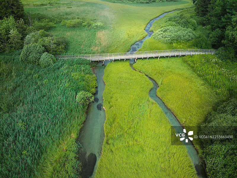 木制人行桥俯瞰绿色湿地溪流图片素材