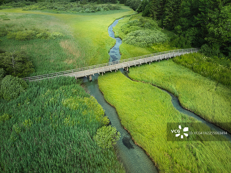 鸟瞰图：木质人行桥跨越绿色湿地溪流图片素材
