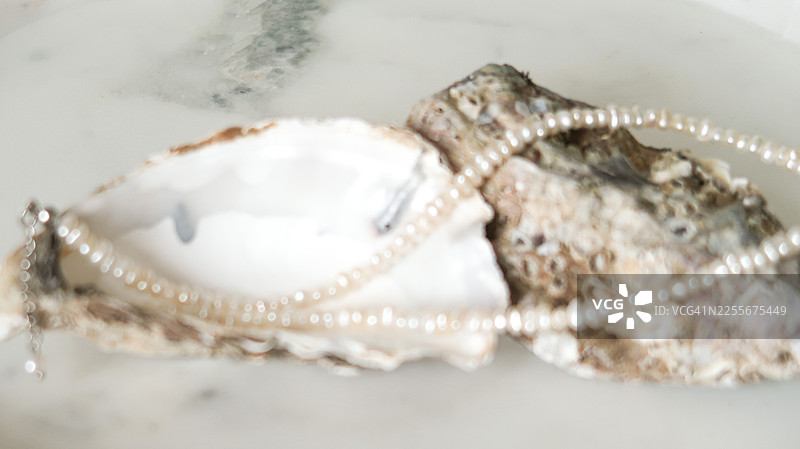 用于高端美容品牌形象的牡蛎壳和珍珠项链图片素材