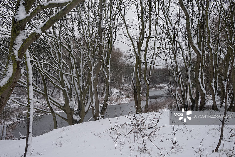 位于海牙基克杜因附近的韦斯特杜因公园被雪覆盖的沙丘湖图片素材