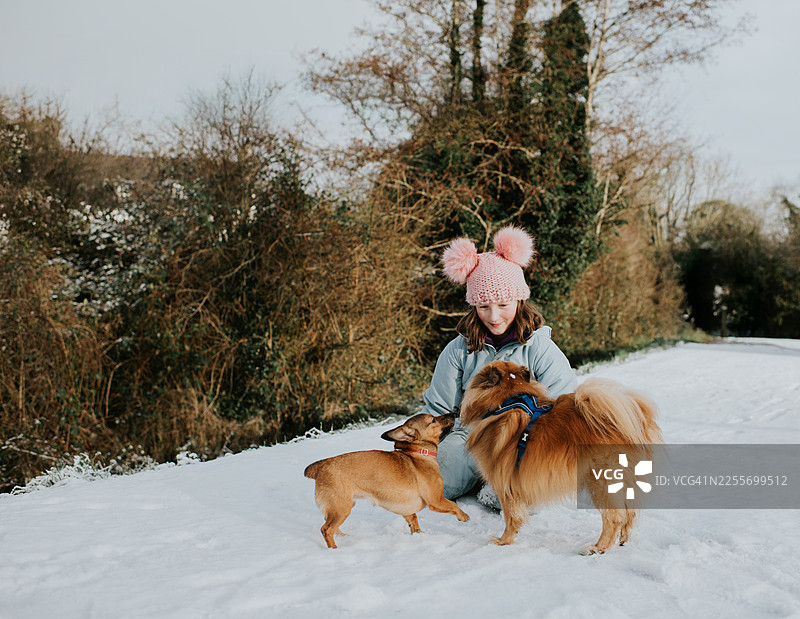 一个小女孩在雪地里和两只毛茸茸的小狗玩耍图片素材