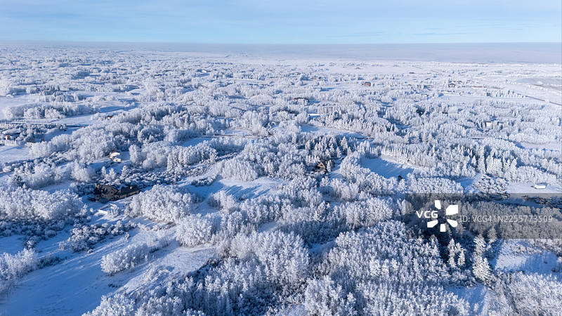 卡尔加里阿尔伯塔省附近被霜覆盖的冬季景观，有低云逆温图片素材