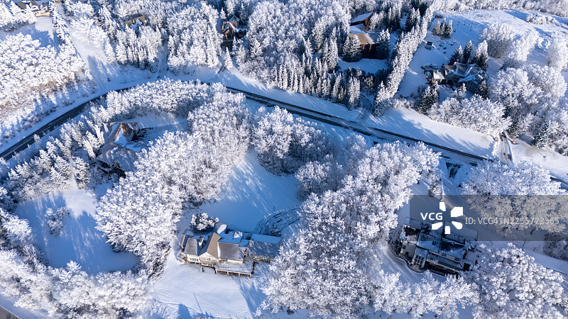 加拿大阿尔伯塔省卡尔加里，冬季霜冻覆盖住宅和森林的航拍图图片素材