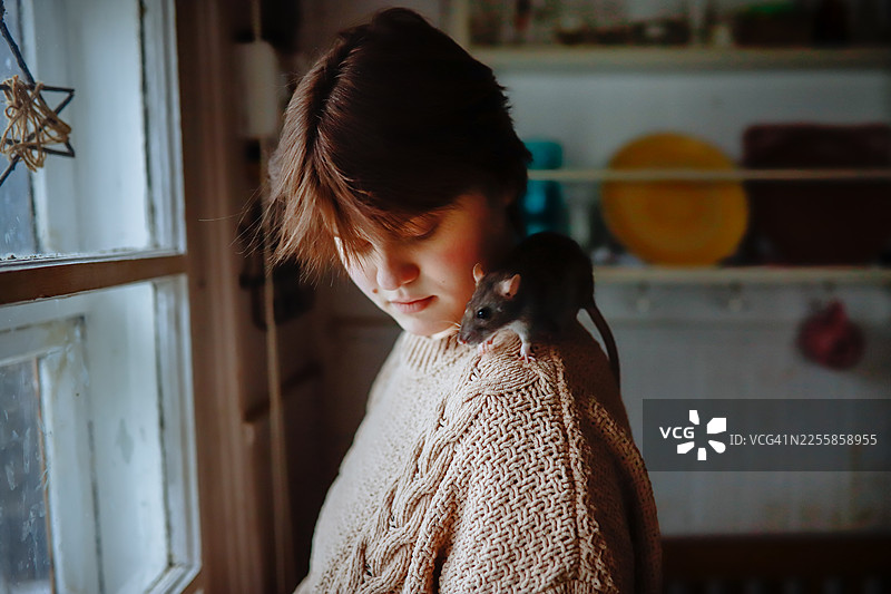 信任喂食——宠物无畏地从手中进食图片素材