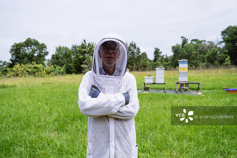 美国养蜂人正在采收有机蜂蜜图片素材