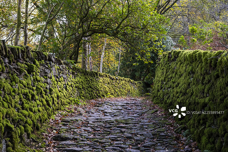 格拉斯米尔的林间小道图片素材