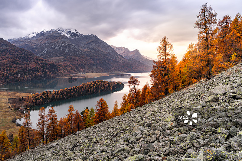 秋日薄雾中的落叶松，席尔斯湖图片素材