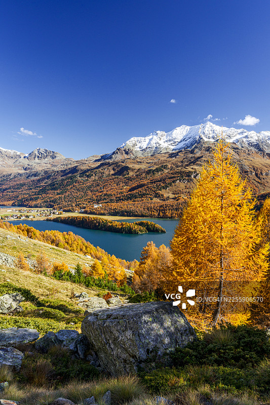 瑞士恩加丁地区锡尔斯湖的秋日色彩图片素材