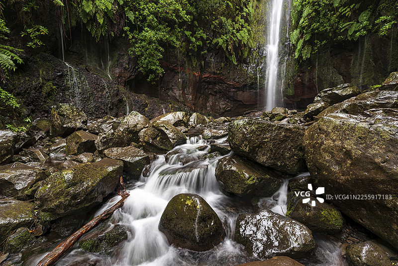 马德拉岛葡萄牙拉巴萨尔自然保护区25泉徒步路线(PR 6),25泉盆地,蕨类植物和苔藓覆盖,巨大的瀑布和许多小溪流倾泻而下,流经岩石,充满神秘感。图片素材