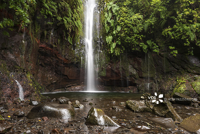 马德拉岛,葡萄牙,拉巴萨尔自然保护区,25泉小道(PR 6),25泉盆地,蕨类和苔藓覆盖,瀑布倾泻而下,形成众多溪流,流淌在岩石上,充满神秘感图片素材