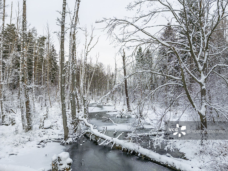 航拍，无人机照片：勃兰登堡州巴尔尼姆地区布里斯河森林中的雪景，河上有被河狸筑坝截流的倒下树干图片素材