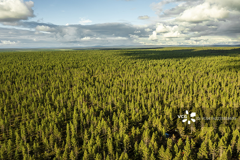芬兰拉普兰省索丹屈莱，阳光明媚的天空下大片浓密的树冠覆盖着广阔的绿色景观，航拍视角，无人机视角图片素材