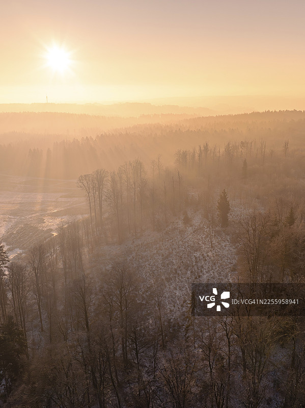 森林景观，有树木和柔和的晨雾，旧沉积地，光伏开放空间电站建筑工地，林登赖恩，卡尔夫，德国图片素材
