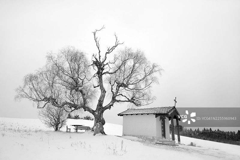 保加利亚乡村雪景中的小教堂图片素材