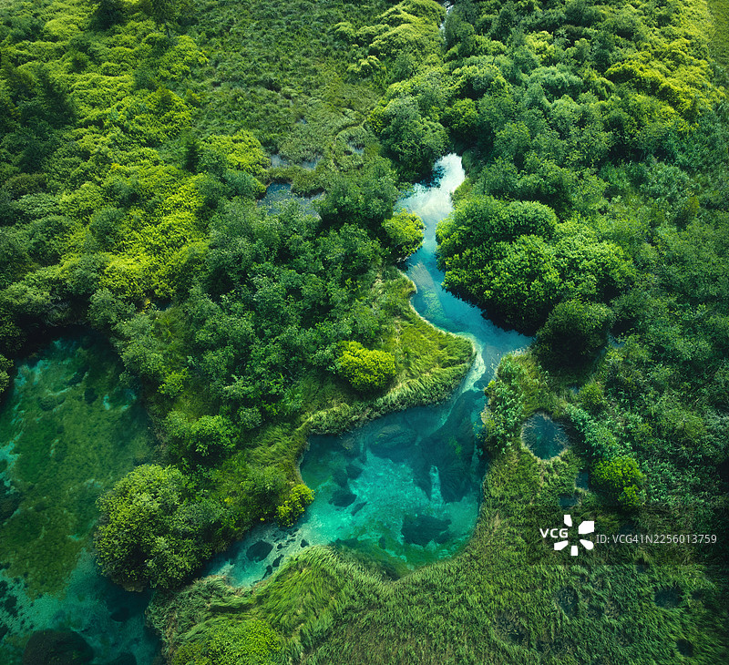 斯洛文尼亚泽伦奇自然保护区的翡翠泉水和湿地图片素材