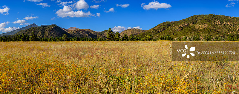 布法罗公园和旧金山山峰图片素材