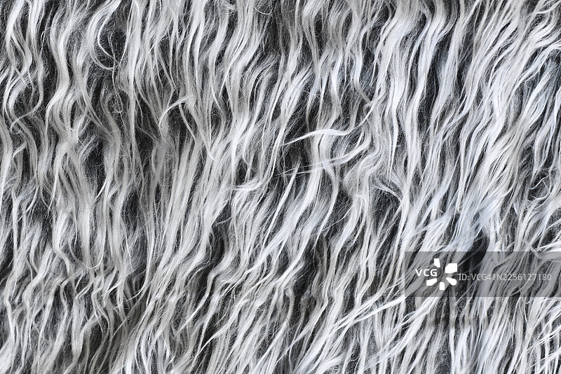 特写镜头：毛茸茸的、绵羊般的灰色人造毛皮图片素材