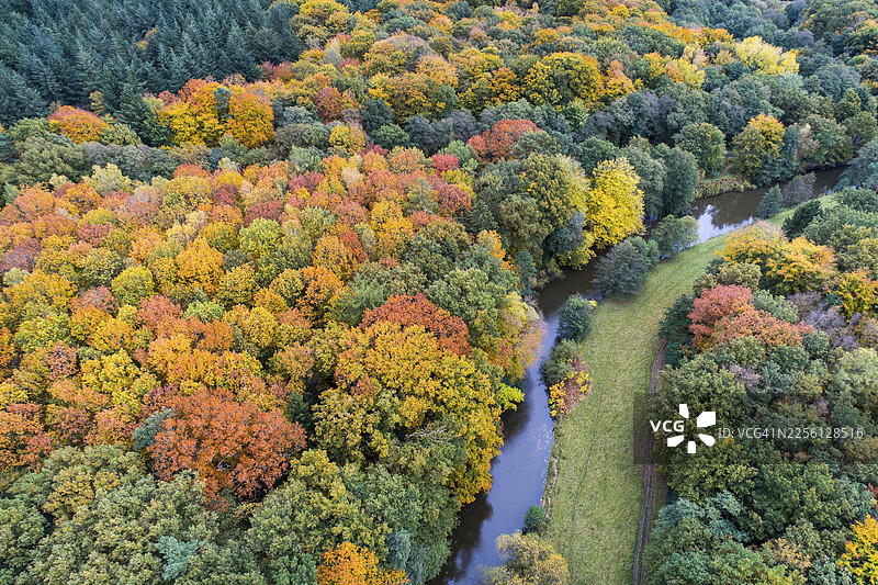 秋季的巴恩菲尔德森林，秋色，韦斯特堡，瓦尔登堡，下萨克森，德国图片素材