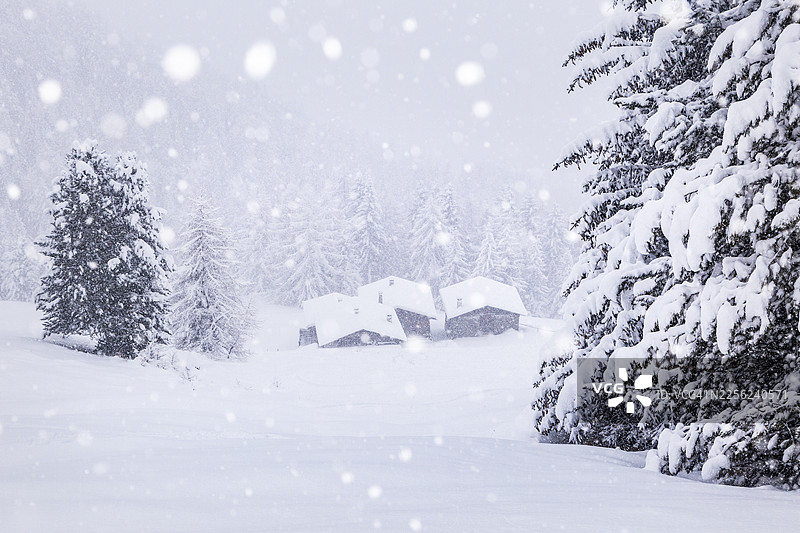 覆盖着雪的阿尔卑斯山小屋，瓦尔泰利纳图片素材