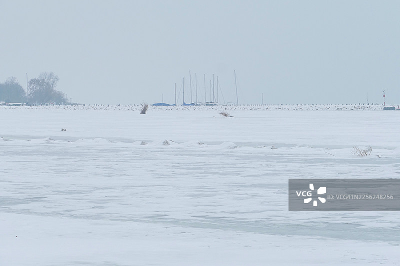 匈牙利巴拉顿湖冰封景象图片素材