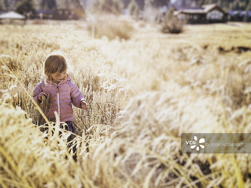 年轻一家人在户外探险，有蹒跚学步的孩子和青少年。图片素材