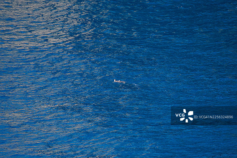 三河湾观景台。海湾坐落在悬崖环绕之中,下方海湾舒展。此处海底涌出温泉。绿海龟(Chelonia mydas)在此很常见;仔细观察,可以看到它们浮出水面换气。图片素材