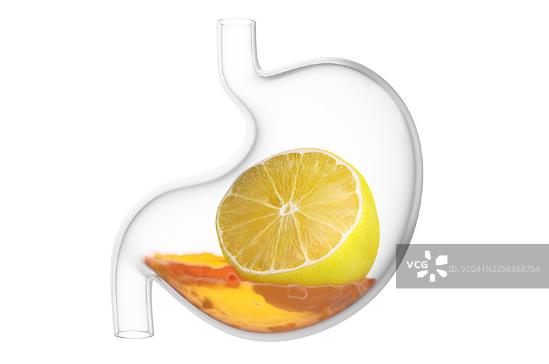 白色背景下，透明胃部内有柠檬切片和胃液的特写图片素材