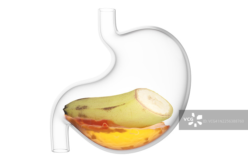 白色背景下，透明胃里的新鲜香蕉切片，周围有胃液图片素材