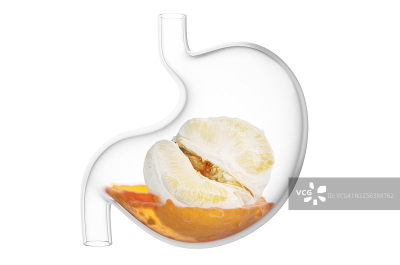 白色背景下，透明胃里的新鲜柚子特写，带有胃液图片素材