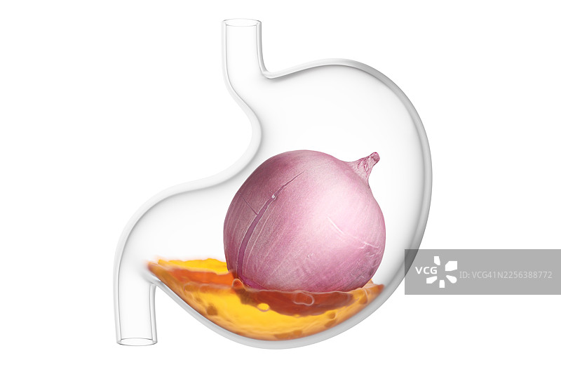 白色背景下，透明胃袋内新鲜洋葱的特写，胃液环绕图片素材