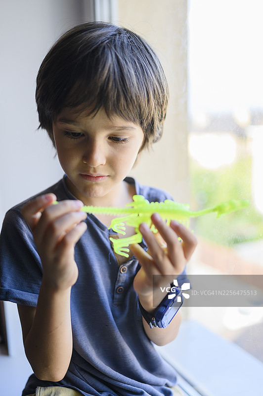 孩子在家靠窗玩恐龙玩具图片素材