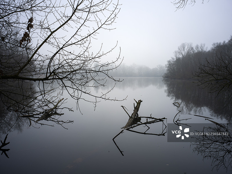 瑞士迈恩里德的冬季景观图片素材