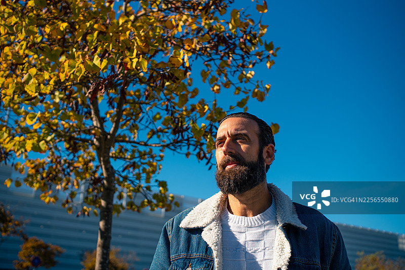 留着胡子的男人在秋天的树下抬头仰望图片素材