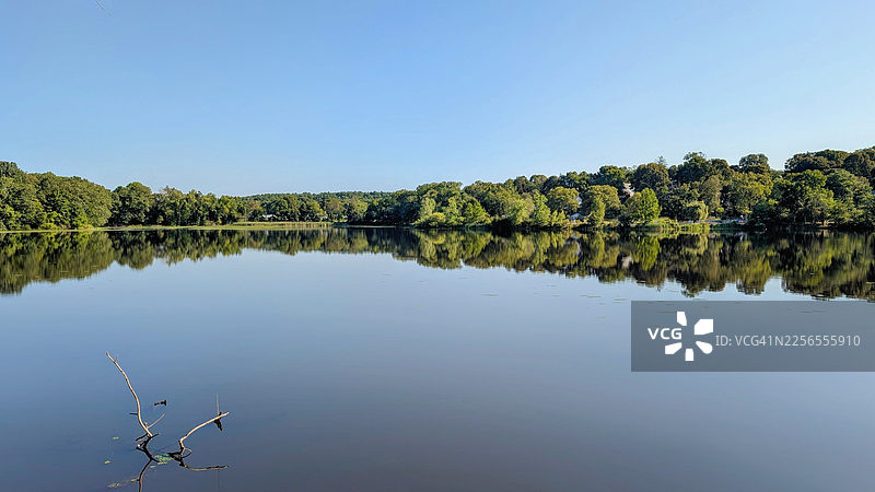 宁静的自然风光，平静的湖面倒映着蓝天下的苍翠绿树，美国阿灵顿，德雷克路图片素材