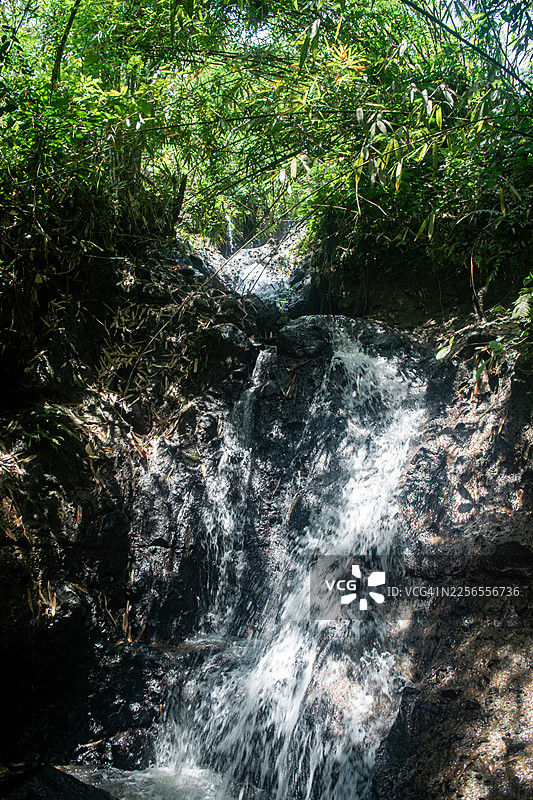 茂密的绿色竹林环绕着壮观的瀑布，展现了大自然的壮丽与宁静图片素材