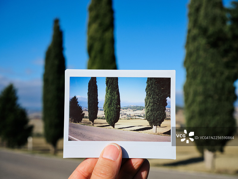 男人拿着一张即时成像照片，照片里是在意大利的丝柏树，背景就是拍摄地。图片素材