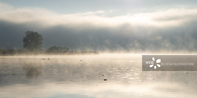 德国巴伐利亚州阿尔高地区霍普芬湖畔薄雾弥漫的日出风光图片素材