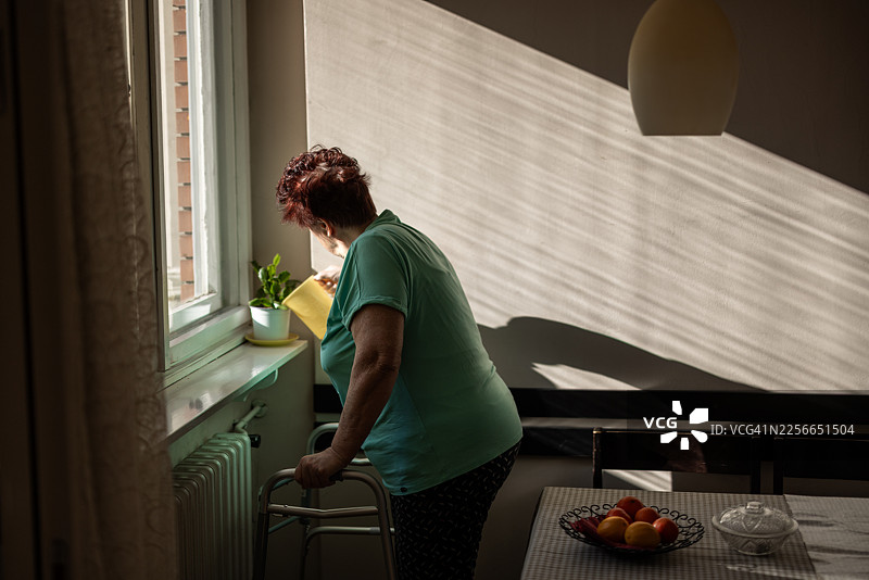 一位老妇人拄着助行器在窗边给植物浇水，象征着关怀与独立图片素材